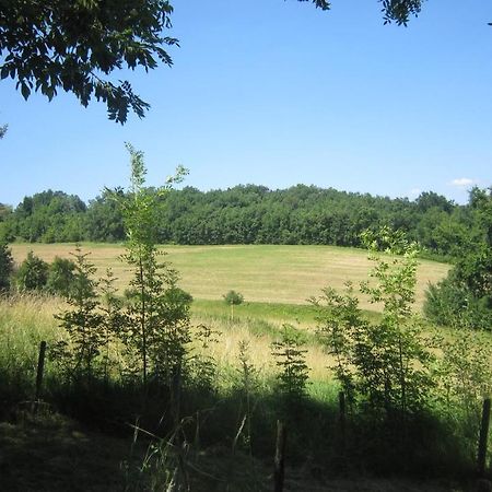 Maisonnette près de Montauban 82 Sud-Ouest Genebrieres Extérieur photo